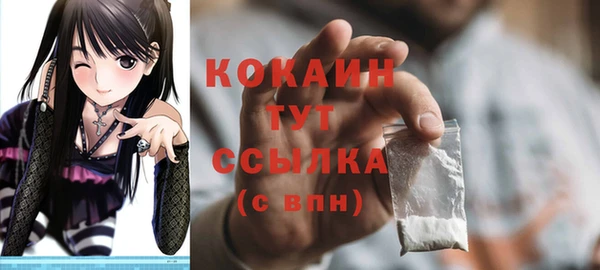 твердый Абаза