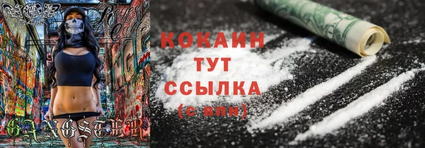 твердый Абаза
