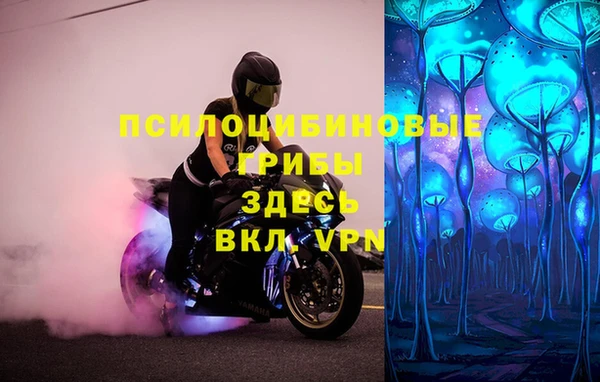 твердый Абаза