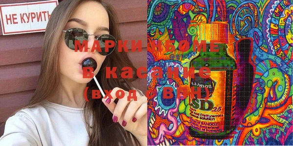 твердый Абаза